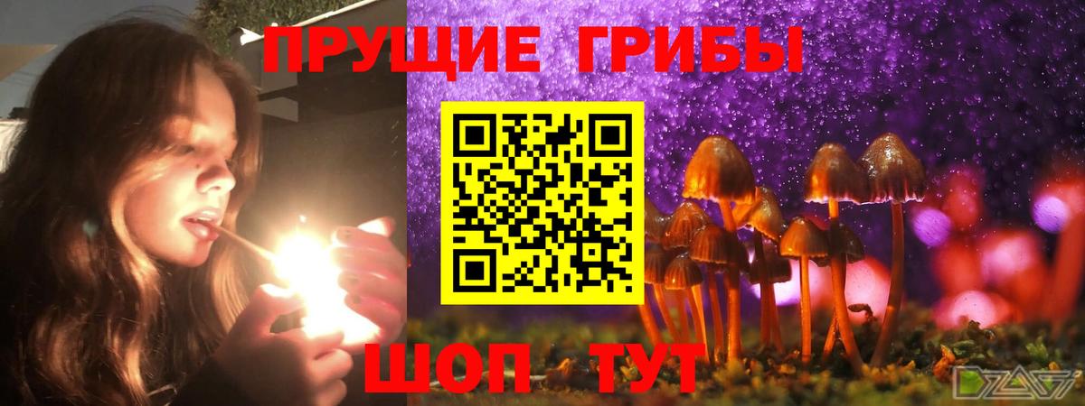 Галлюциногенные грибы Magic Shrooms  Вход с VPN  Тутаев 